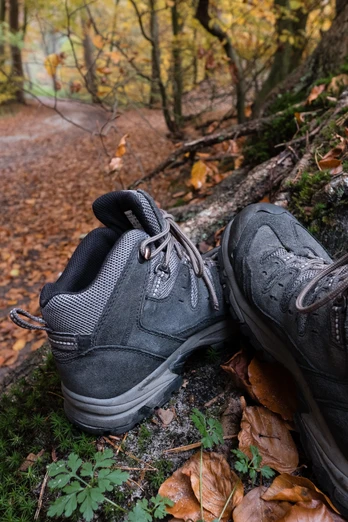 Teutoburger_Wald_Detmold_B.Fromberger_Detailaufnahme_Wandern_CCBYSA (21).jpg Wanderstiefel ruhen auf moosbedecktem Baumstumpf, umgeben von Herbstlaub auf einem Waldweg.