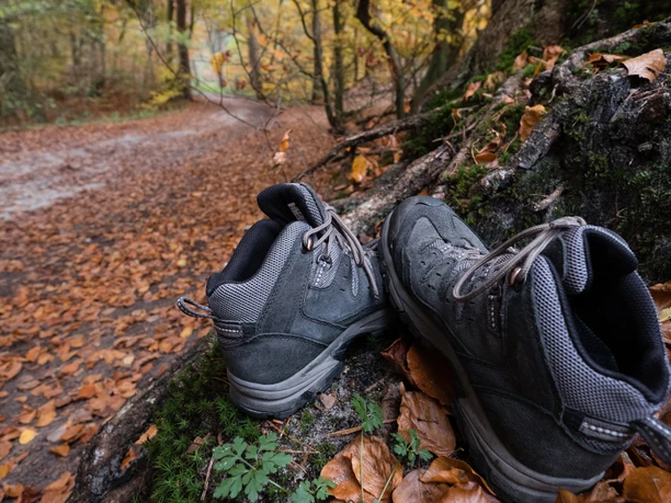 Teutoburger_Wald_Detmold_B.Fromberger_Detailaufnahme_Wandern_CCBYSA (21).jpg Wanderstiefel ruhen auf moosbedecktem Baumstumpf, umgeben von Herbstlaub auf einem Waldweg.