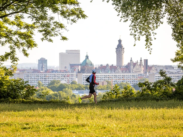 Blick vom Aussichtspunkt Fockeberg mit Leipzigs Skyline und Blick ins Grüne, Natur, Spazieren