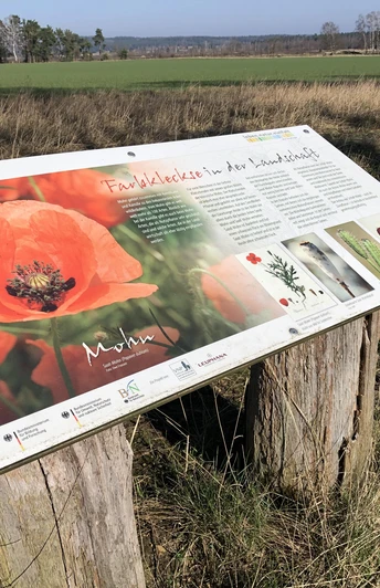 Tafel-Mohn-Wildkrautpfad-Tütsberg-2022-ccbysa-foto©bispingen-touristik-min.jpg