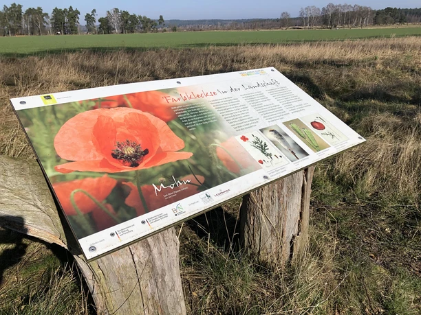 Tafel-Mohn-Wildkrautpfad-Tütsberg-2022-ccbysa-foto©bispingen-touristik-min.jpg
