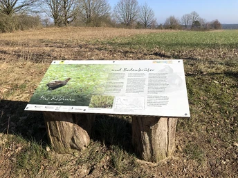 Tafel-Rebhuhn-Wildkrautpfad-Tütsberg-2022-ccbysa-foto©bispingen-touristik-min.jpg
