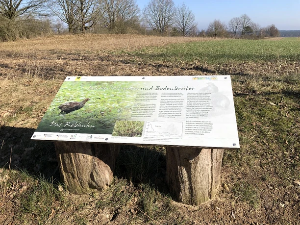 Tafel-Rebhuhn-Wildkrautpfad-Tütsberg-2022-ccbysa-foto©bispingen-touristik-min.jpg