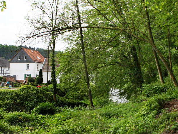 an der Dhünn mit Blick auf Odenthal Fahrradfahrer auf einem Waldweg, links die romanische Abtei Rommersdorf mit Fachwerkhäusern im Hintergrund.