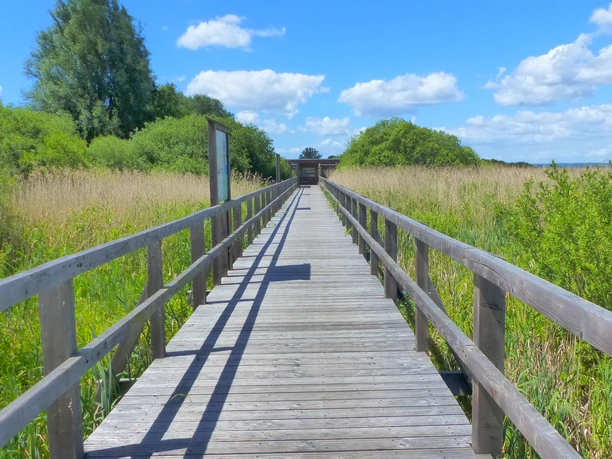 Aussichtssteg Dümmer-See