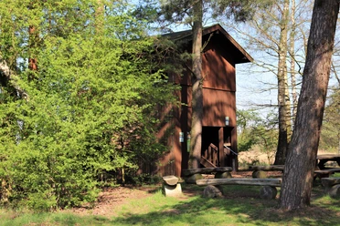 Aussichtsturm Neustädter Moor