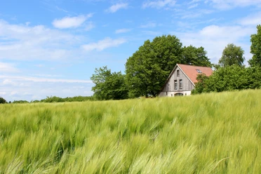 Siektäler in Werther Ein altes Bauernhaus mit rotem Dach, umgeben von grünen Feldern und Bäumen unter blauem Himmel.
