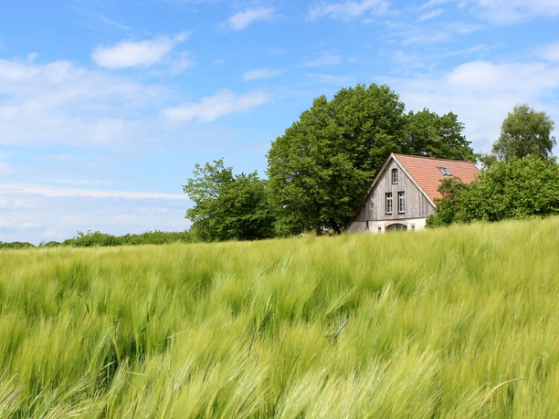 Siektäler in Werther Ein altes Bauernhaus mit rotem Dach, umgeben von grünen Feldern und Bäumen unter blauem Himmel.
