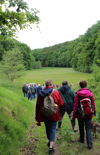 Wandergruppe im Teutoburger Wald