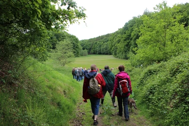 Teutoburger Wald | Werther (Westf.) | proWi GT Wandergruppe im Teutoburger Wald
