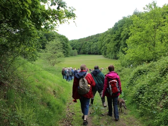 Teutoburger Wald | Werther (Westf.) | proWi GT Wandergruppe im Teutoburger Wald
