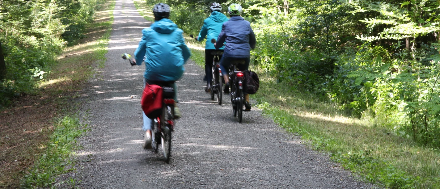 Radler im Wald