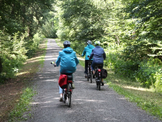 Radler im Wald