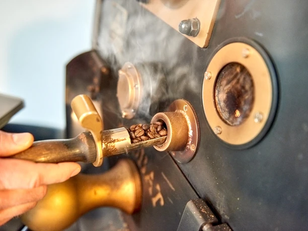 Café & Wine House Coffee Roasting Schmole in Pirna Close-up of a hand pulling a sampler of roasted coffee beans from a bronze-colored coffee roaster.