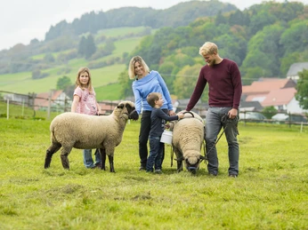 Familie mit Schafen auf dem Familienbauernhof Fass Familie mit Schafen auf dem Familienbauernhof Fass