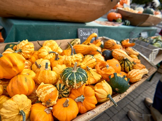 Wochenmarkt in Wolfenbüttel Kürbisse auf dem Wochenmarkt