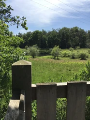 Blick von der Aussichtsplattform im Weißen Moor Blick über eine grüne Moorlandschaft mit vereinzelten Bäumen, gesehen von einer hölzernen Plattform.