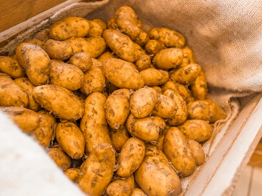 Neue Kartoffeln im Hofladen Kettenburg Neue Kartoffeln im Hofladen Kettenburg
