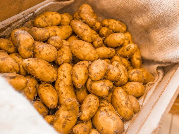 Neue Kartoffeln im Hofladen Kettenburg Neue Kartoffeln im Hofladen Kettenburg