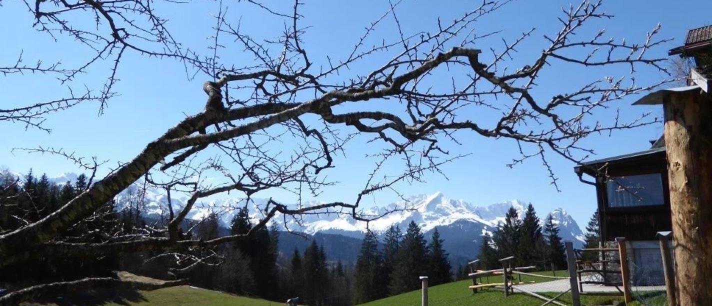 Gschwandtner Bauer3.jpg