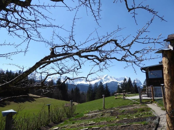 Gschwandtner Bauer3.jpg