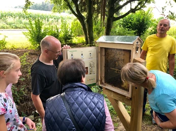 Gruppe am Bienenschaukasten CC BY-SA - LTM.jpg