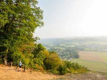 Aussichtspunkt Stachelhardt Weite Landschaft mit grünen Feldern und Wäldern; im Vordergrund eine Person an einem hölzernen Geländer.
