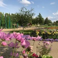 Rietberg - Gartenschaupark Blick auf Blütenpracht und Spielplatz im Gartenschaupark Rietberg