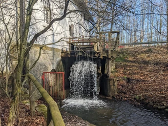 Niemöllers Mühle.jpg