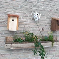 Ferienwohnung Vogelvilla | Altenbeken Ferienwohnung Vogelvilla | Altenbeken