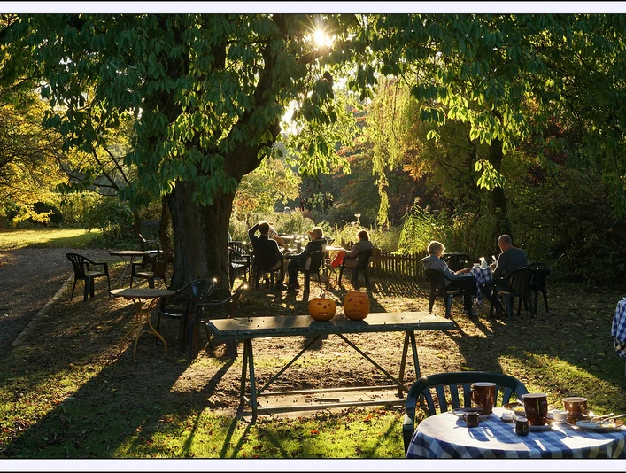 Personen sitzen an Tischen im herbstlichen Garten unter Bäumen; im Vordergrund Kürbisse auf einem Tisch.
