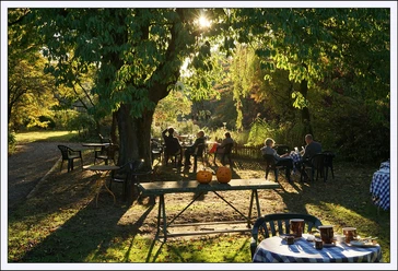 Bild Kürbisse Garten.jpg Personen sitzen an Tischen im herbstlichen Garten unter Bäumen; im Vordergrund Kürbisse auf einem Tisch.