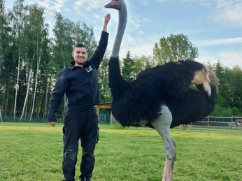 Nils Möller steht lächelnd neben einem großen Straußenhahn auf einer grünen Wiese unter blauem Himmel.