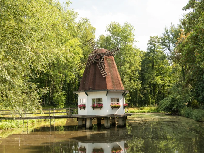 Heidberger Mühle im Ittertal bei Haan Historische Windmühle im Grünen, umgeben von Bäumen, mit einem kleinen Teich im Vordergrund.