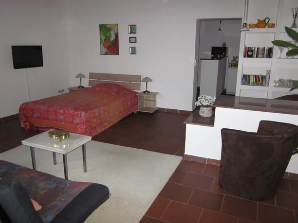 Helles Appartement mit Doppelbett, Sofa, TV, Pflanze und offener Küchenzeile in modernem Stil.