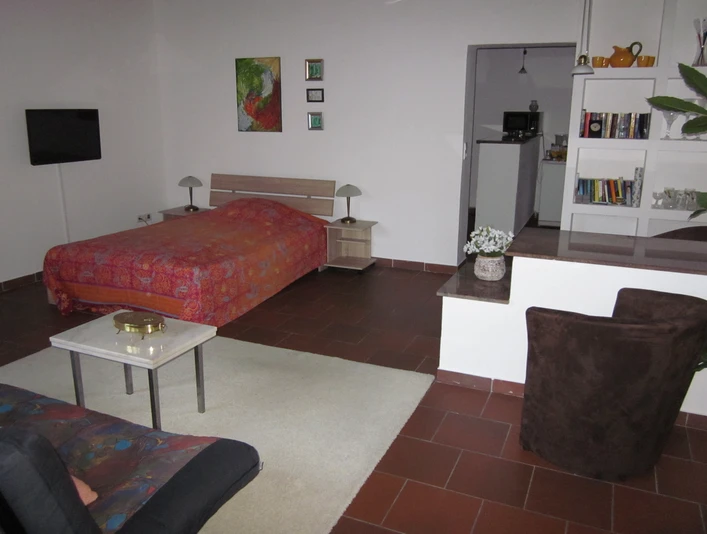 Helles Appartement mit Doppelbett, Sofa, TV, Pflanze und offener Küchenzeile in modernem Stil.