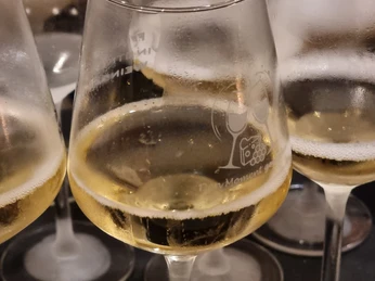 Frank´s Vinothek & Weinbar | Weinglas Wein