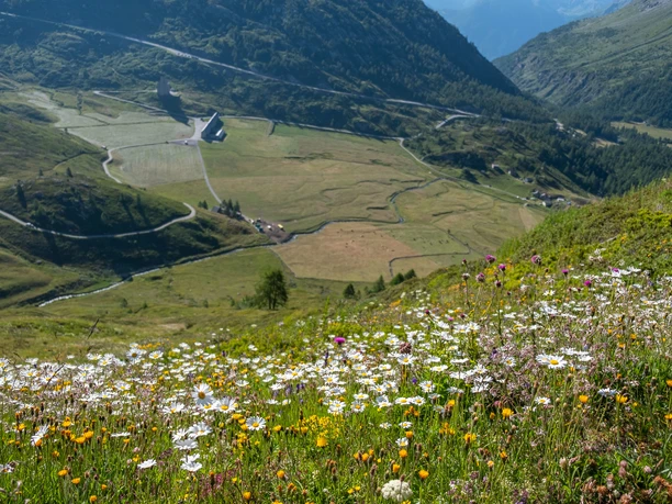 Alpenpässeweg nr.6 - Kopie.jpg
