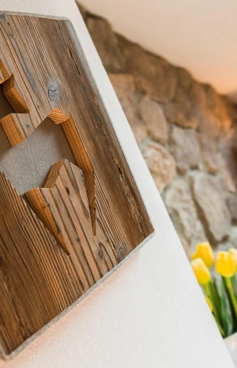 Bergsteiger - Gamsbild