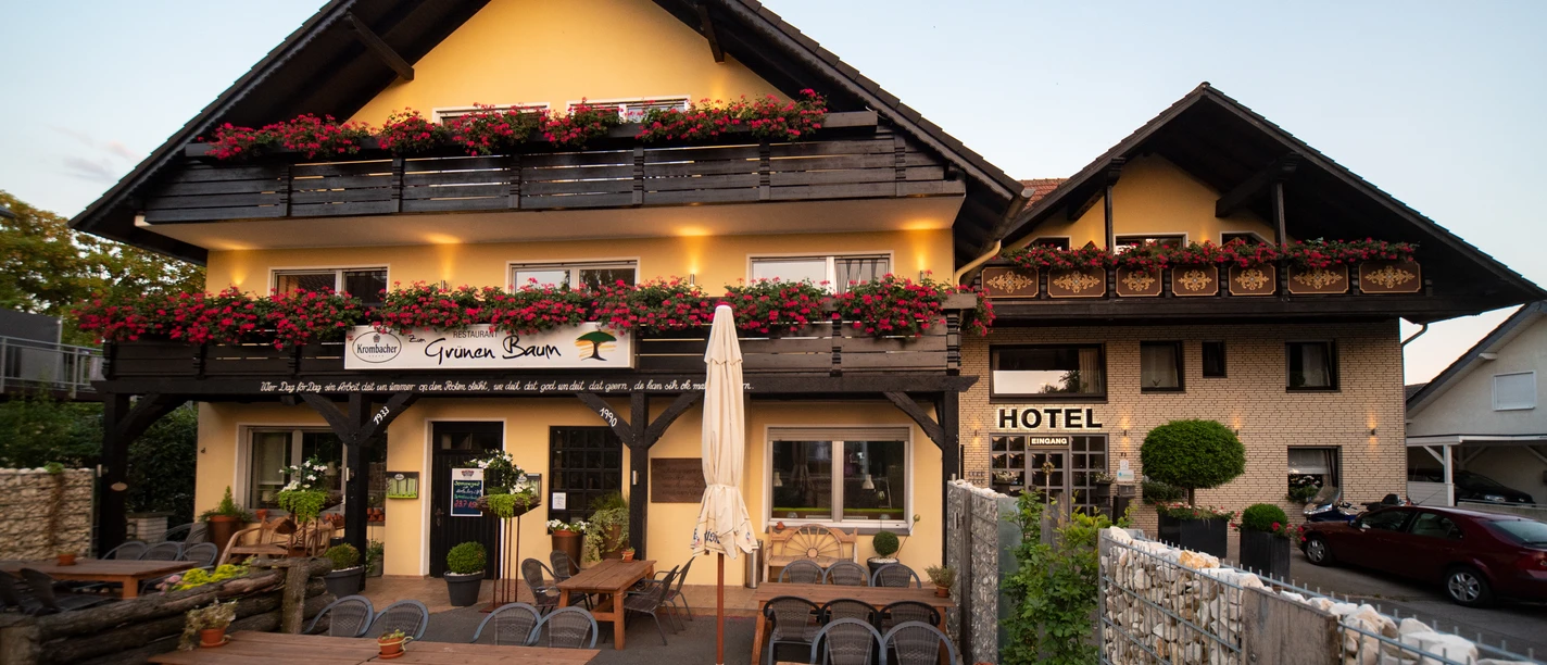 Hotel Zum Grünen Baum | Hausansicht Hotel Zum Grünen Baum | Hausansicht
