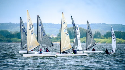 Segelregatta Dümmer-See