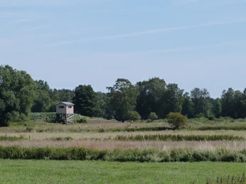 Aussichtsturm in den Meerbruchswiesen Ein hölzerner Aussichtsturm erhebt sich über weitläufigen Wiesen mit Bäumen im Hintergrund.A wooden observation tower rises above extensive meadows with trees in the background.Et udsigtstårn af træ rejser sig over store enge med træer i baggrunden.Een houten uitkijktoren rijst op boven uitgestrekte weiden met bomen op de achtergrond.