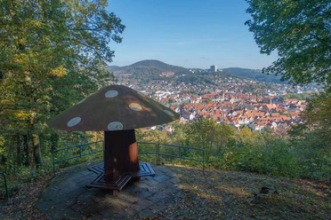 R1 Plilzchen