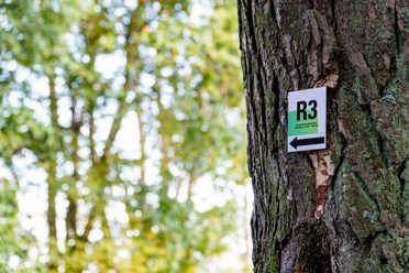 R3 Beschilderung