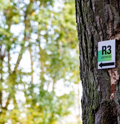 R3 Beschilderung
