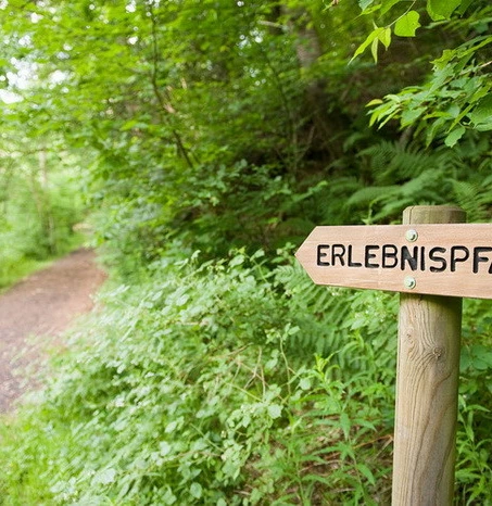 Erlebnispfad Steinbachtal Ronshausen