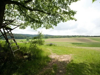 Erlebnispfad Steinbachtal Ronshausen