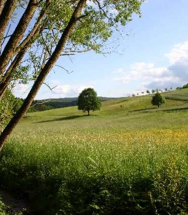 Weitblick auf dem Premiumwanderweg ins Ronshausen