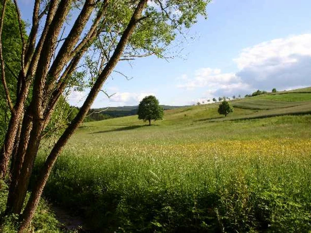 Weitblick auf dem Premiumwanderweg ins Ronshausen