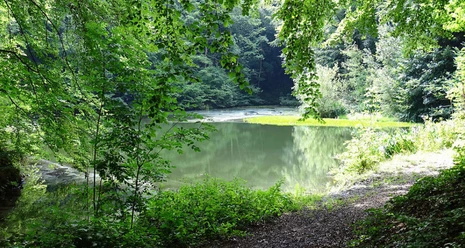 Hangarsteinsee
